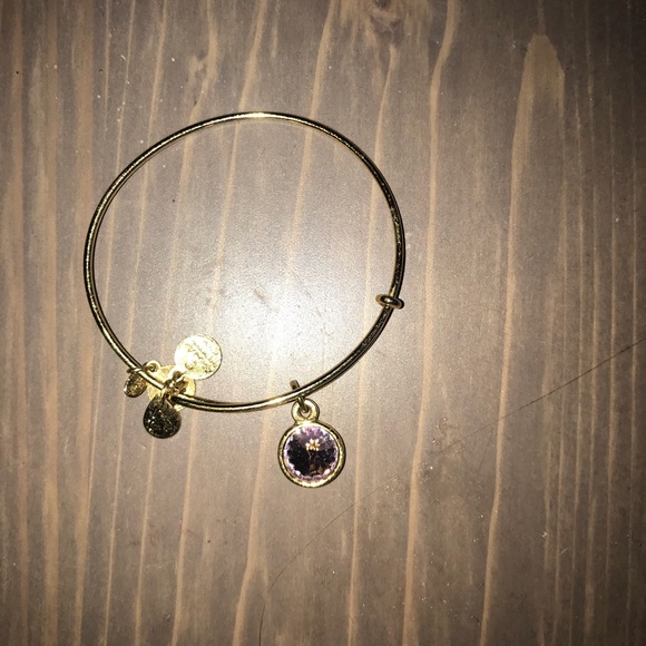 Alex and ani bracelet - Picture 1 of 1